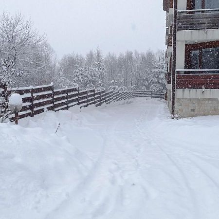 Apartment Detelina Residence Bansko Buitenkant foto
