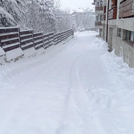 Apartment Detelina Residence Bansko Buitenkant foto