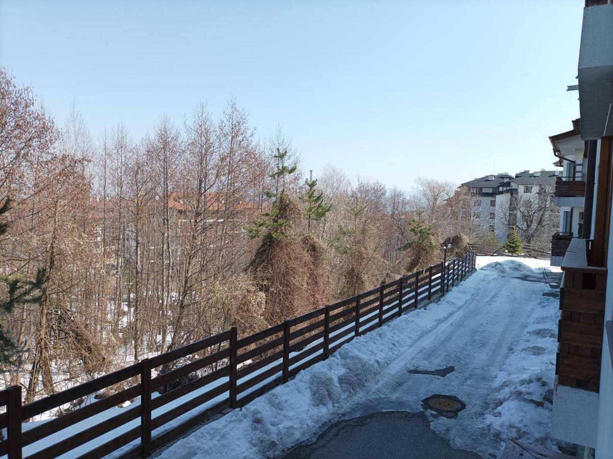 Apartment Detelina Residence Bansko Buitenkant foto