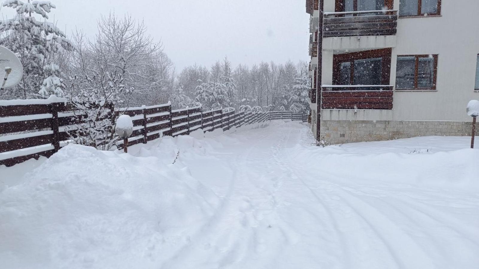Apartment Detelina Residence Bansko Buitenkant foto