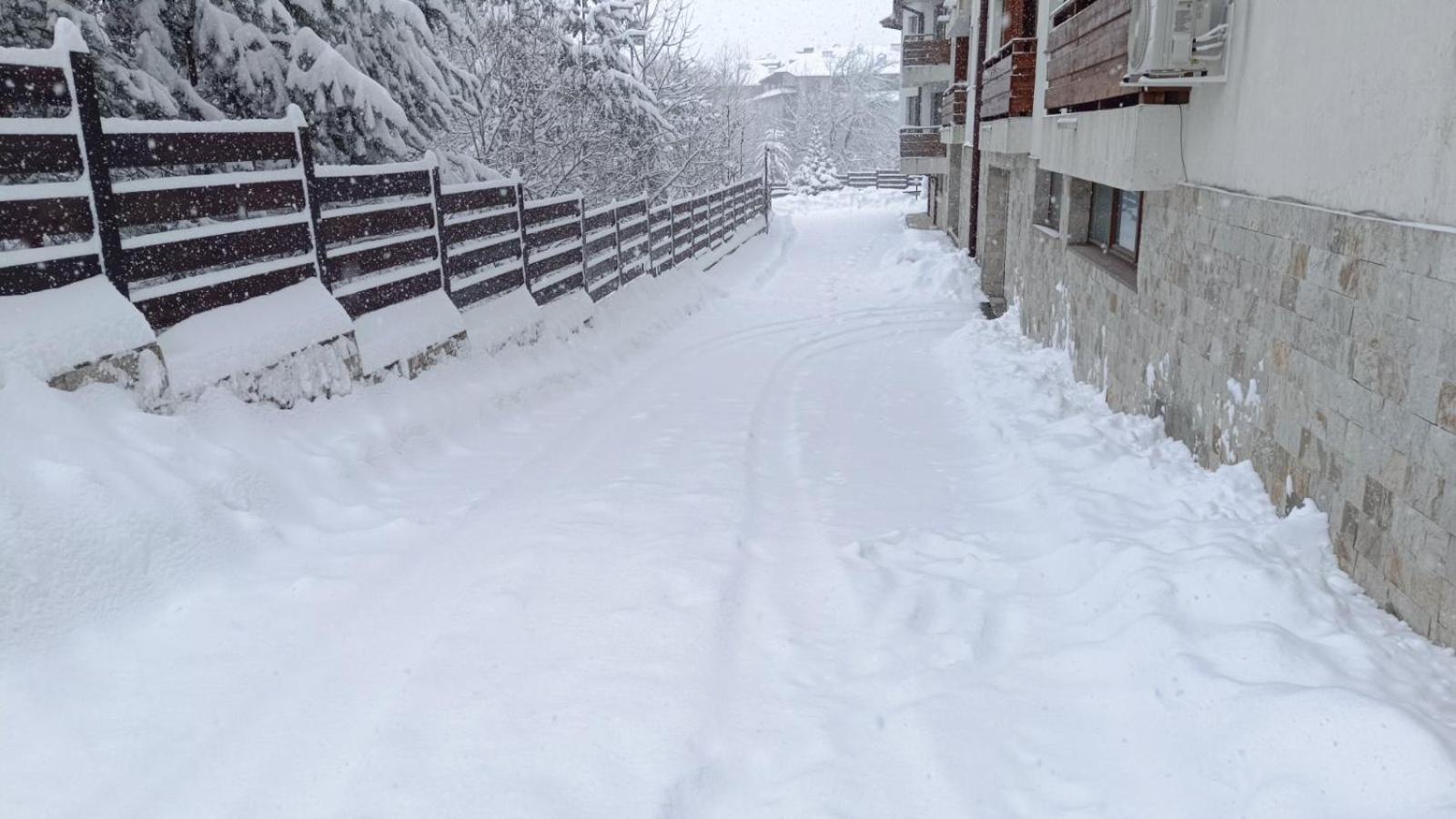 Apartment Detelina Residence Bansko Buitenkant foto