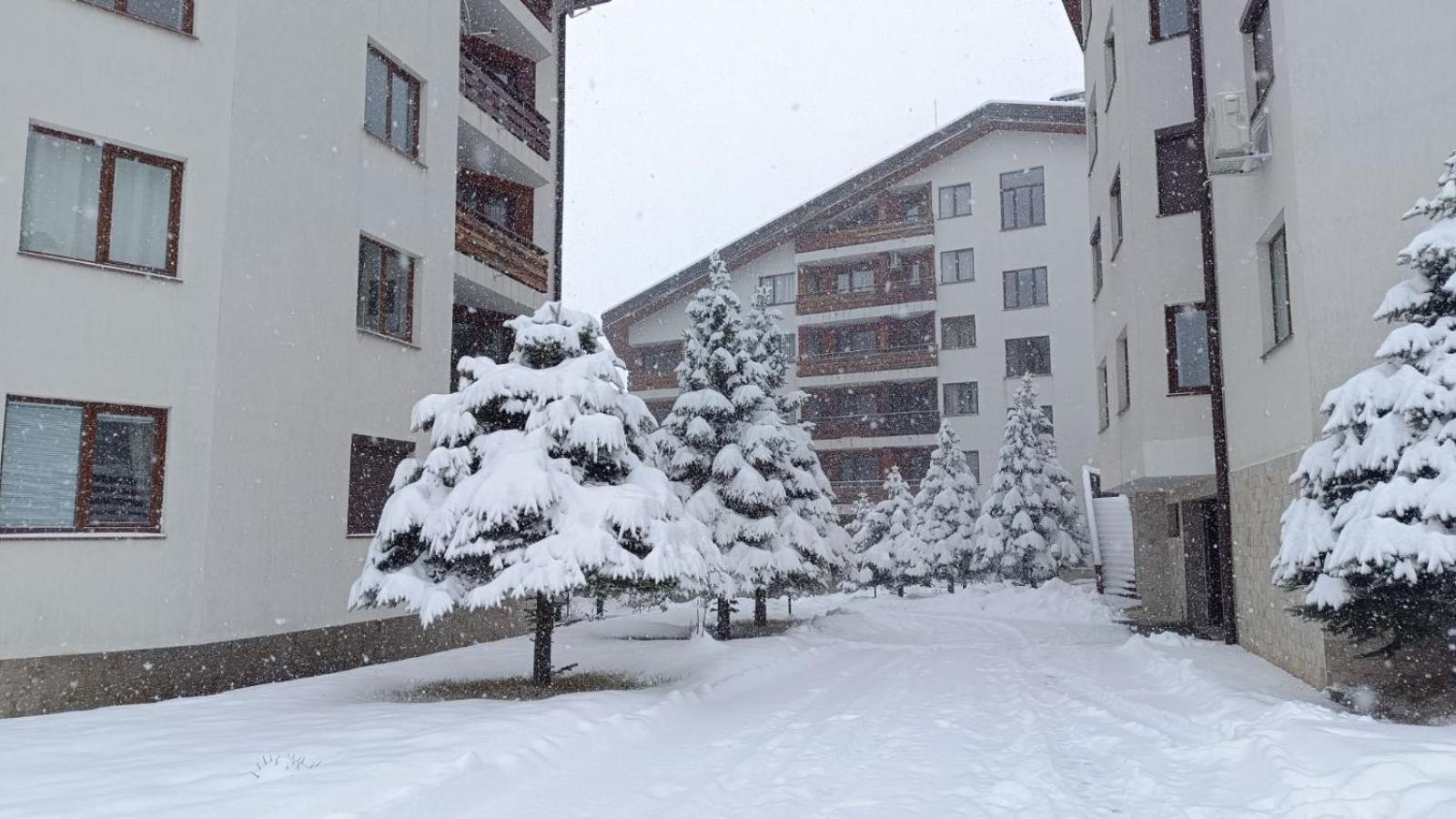 Apartment Detelina Residence Bansko Buitenkant foto