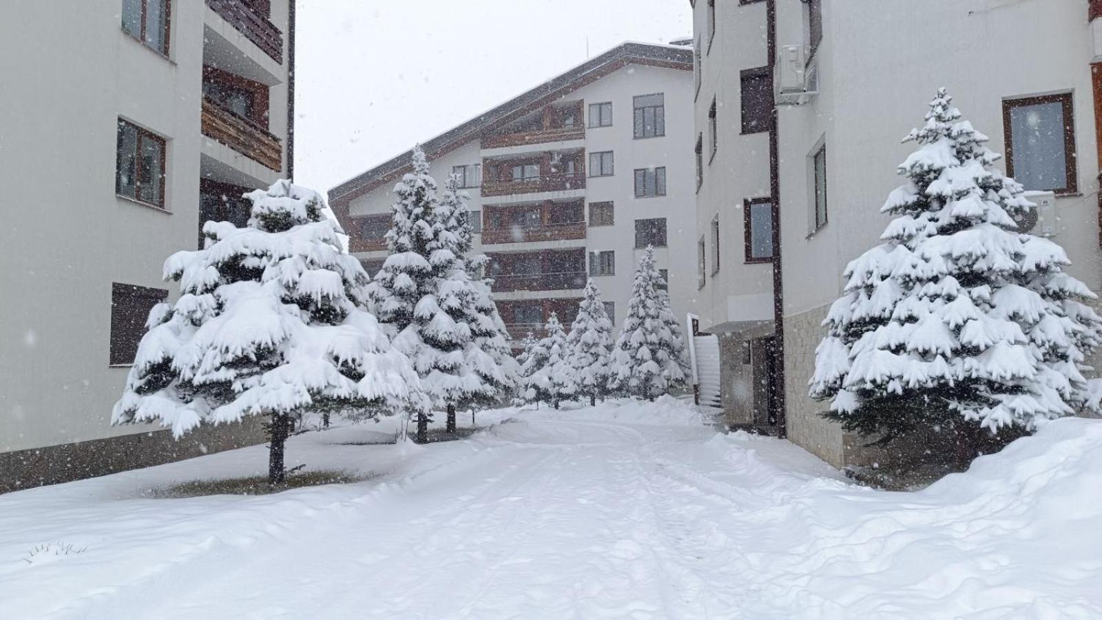 Apartment Detelina Residence Bansko Buitenkant foto