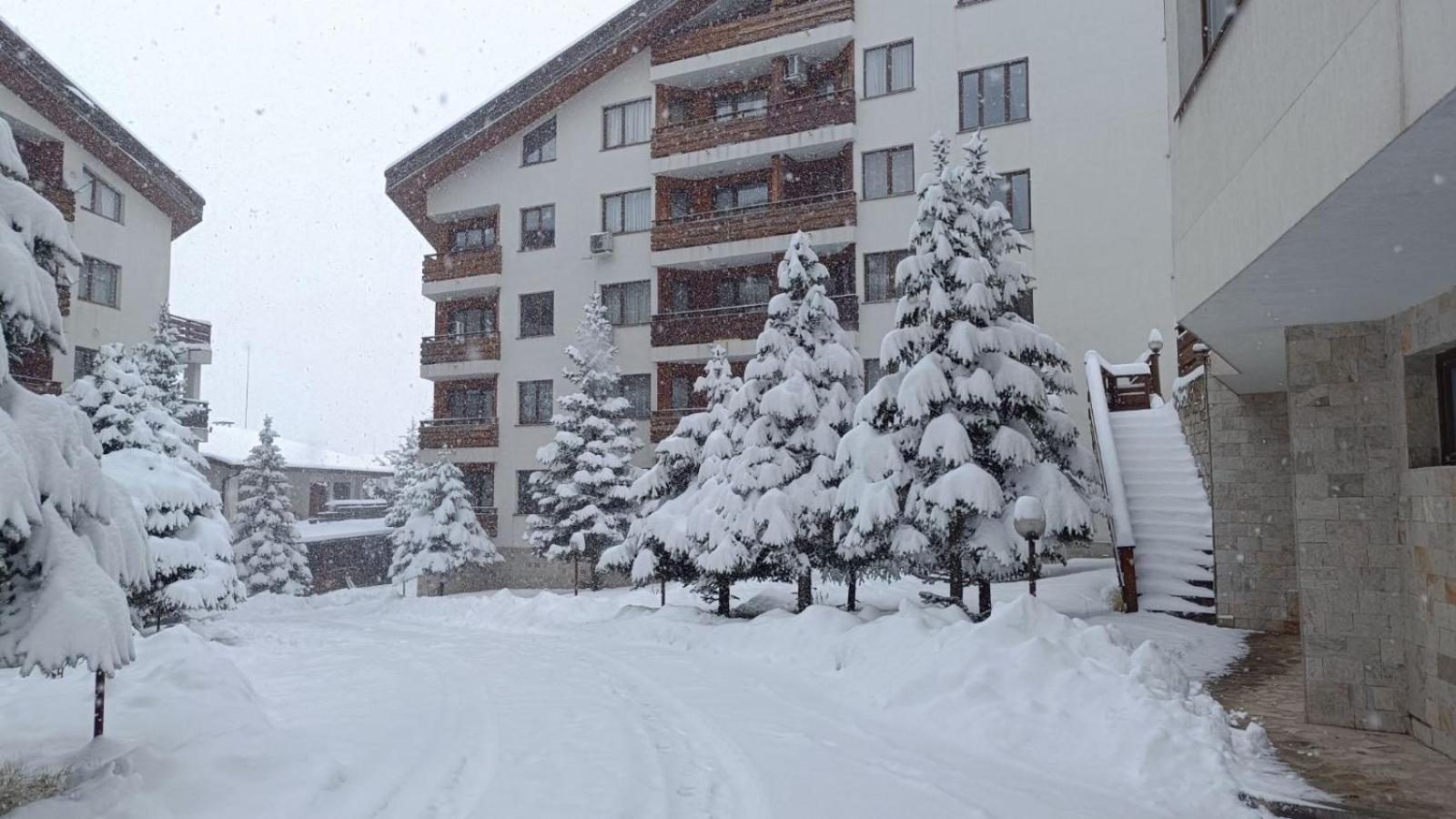 Apartment Detelina Residence Bansko Buitenkant foto