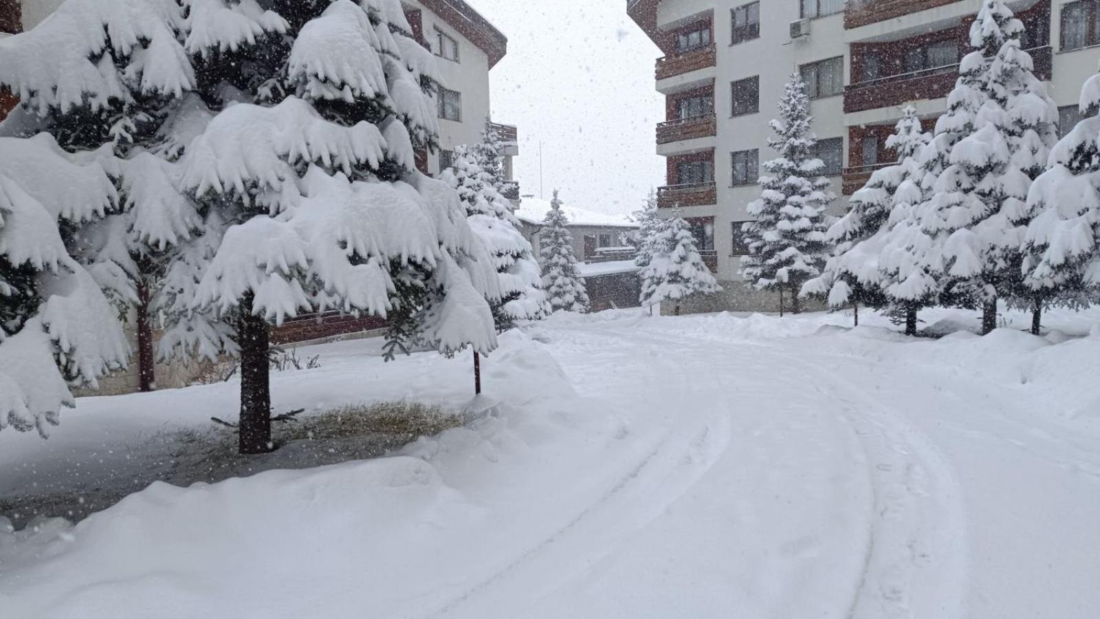 Apartment Detelina Residence Bansko Buitenkant foto