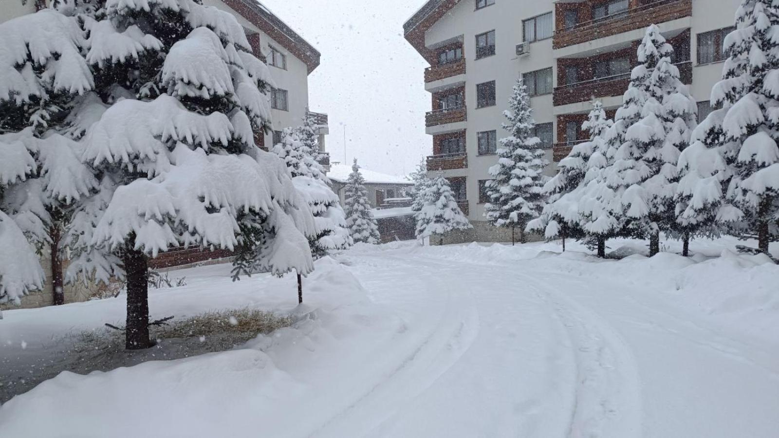 Apartment Detelina Residence Bansko Buitenkant foto