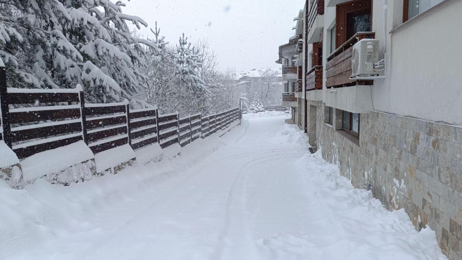 Apartment Detelina Residence Bansko Buitenkant foto