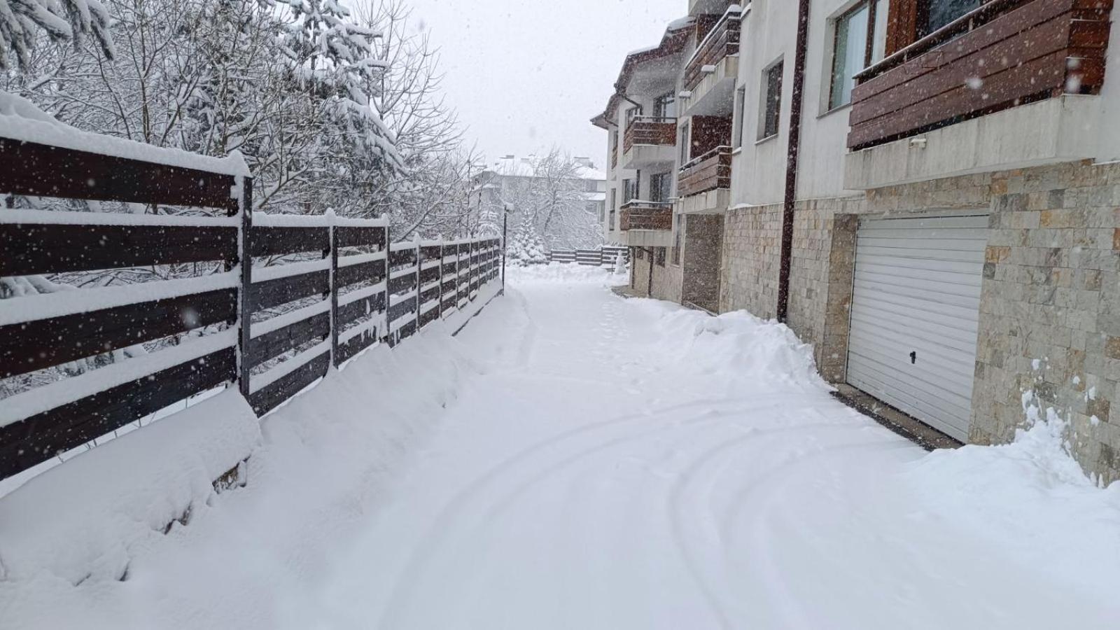 Apartment Detelina Residence Bansko Buitenkant foto
